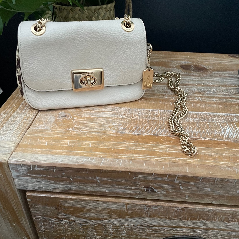 Coach snake skin purse